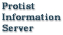 Protist Information Server